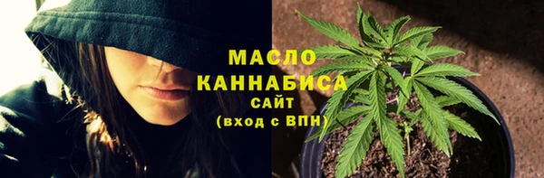 сатива Богородицк