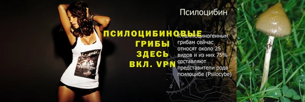 прущий лед Белокуриха