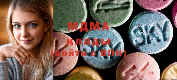 молекула духа Богданович