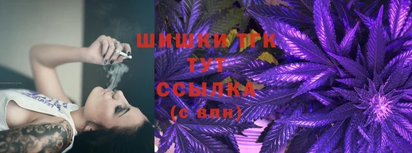 сатива Богородицк