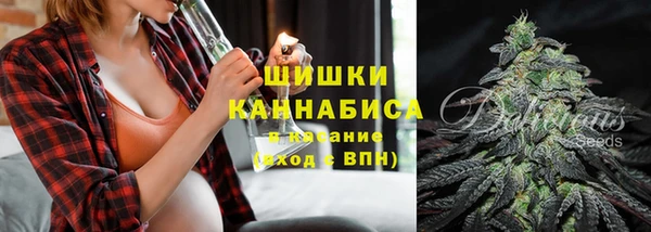 сатива Богородск