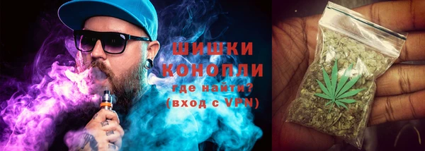 сатива Богородск