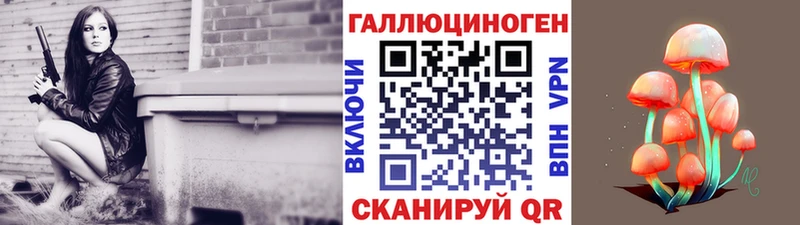 Купить где  Кедровый  Псилоцибиновые грибы Psilocybine cubensis 