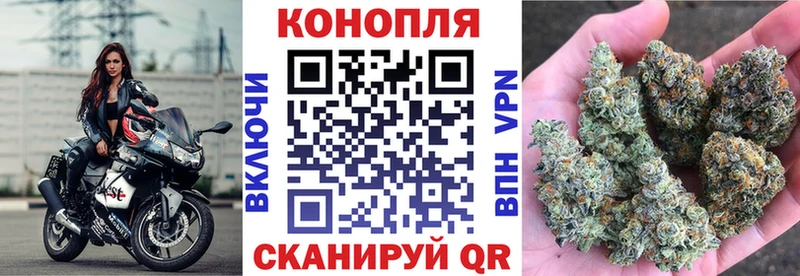 Бошки Шишки THC 21%  Купить  Кедровый 